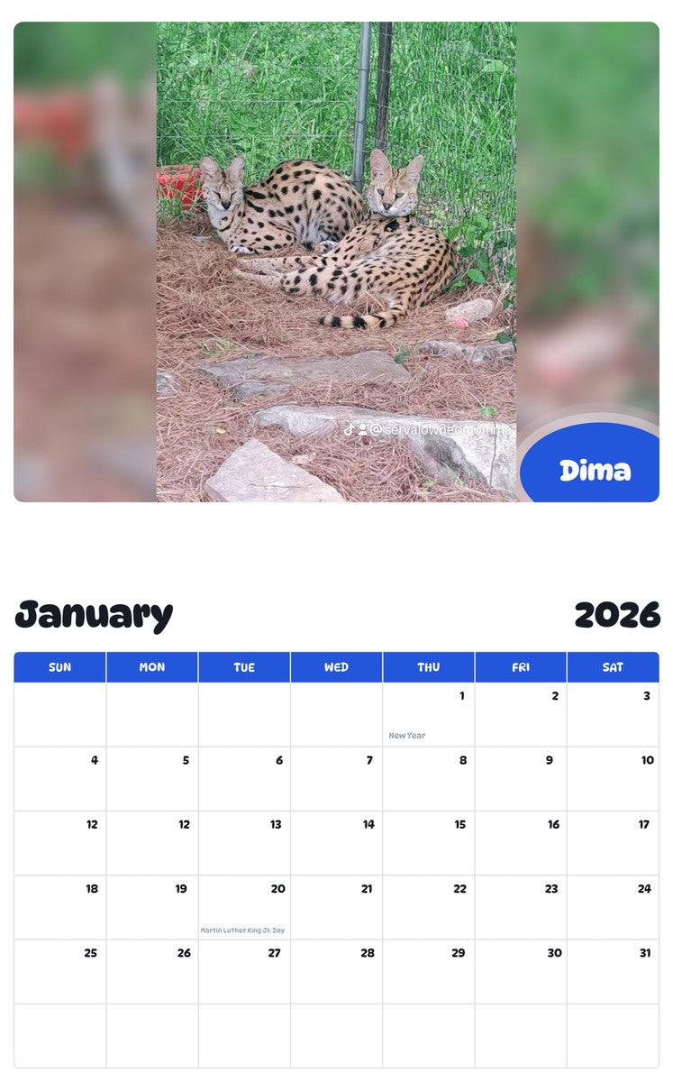October 2025 - September 2026 Dima - Pawidols Pet Calendar