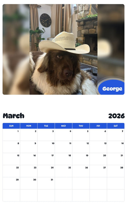 November 2025 - October 2026 George - Pawidols Pet Calendar