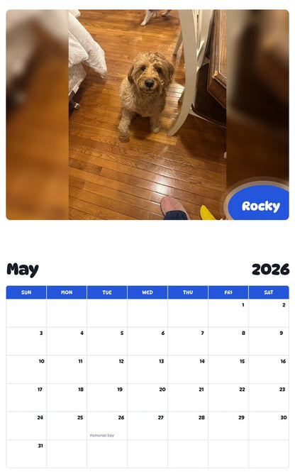 2026 - 2027 Rocky - Pawidols Pet Calendar