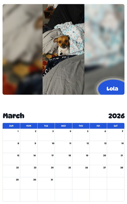 November 2025 - October 2026 Lola - Pawidols Pet Calendar