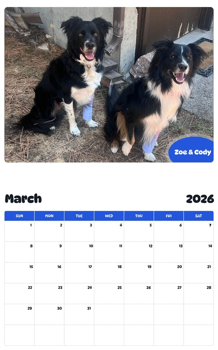 November 2025 - October 2026 Zoe & Cody - Pawidols Pet Calendar