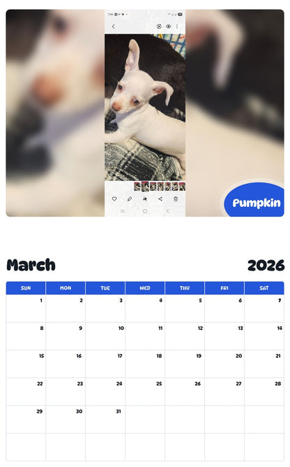 November 2025 - October 2026 Pumpkin - Pawidols Pet Calendar