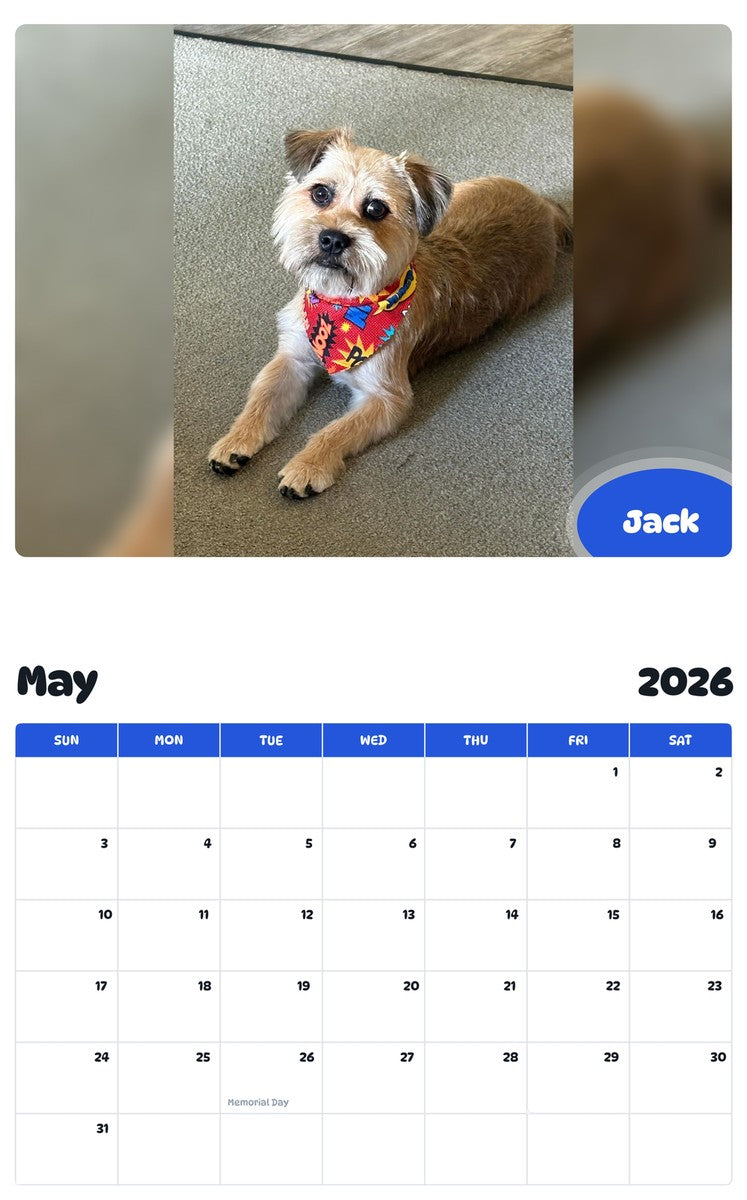 2026 - 2027 Jack - Pawidols Pet Calendar
