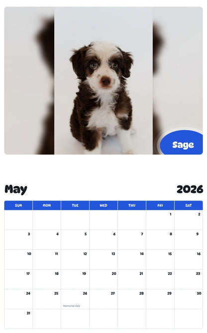 2026 - 2027 Sage - Pawidols Pet Calendar