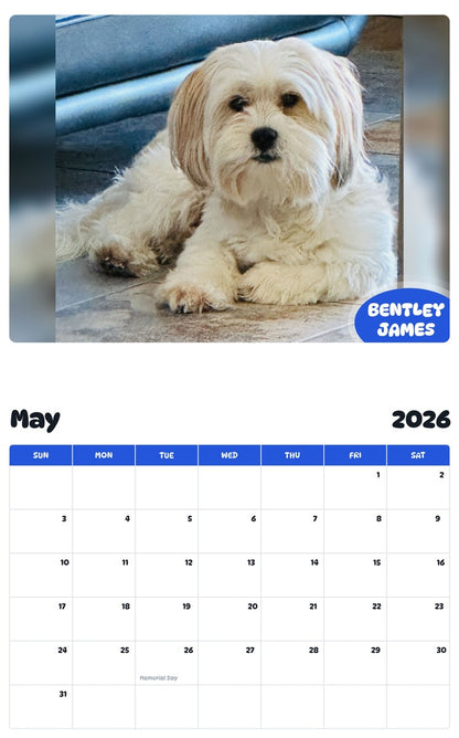 2026 - 2027 BENTLEY JAMES - Pawidols Pet Calendar