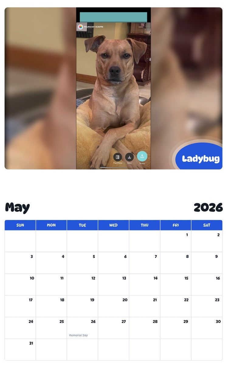2026 - 2027 Ladybug - Pawidols Pet Calendar