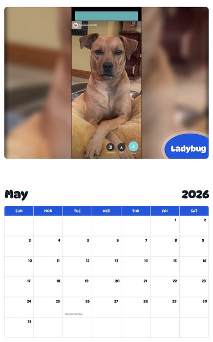 2026 - 2027 Ladybug - Pawidols Pet Calendar