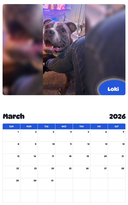 November 2025 - October 2026 Loki - Pawidols Pet Calendar