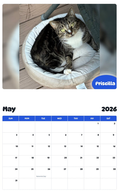 2026 - 2027 Priscilla - Pawidols Pet Calendar