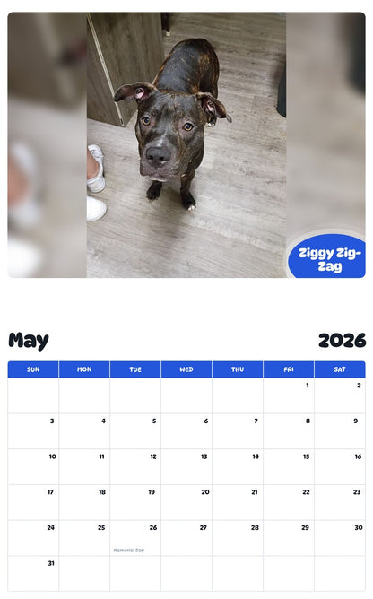 2026 - 2027 Ziggy Zig-Zag - Pawidols Pet Calendar
