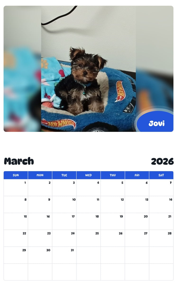 November 2025 - October 2026 Jovi - Pawidols Pet Calendar