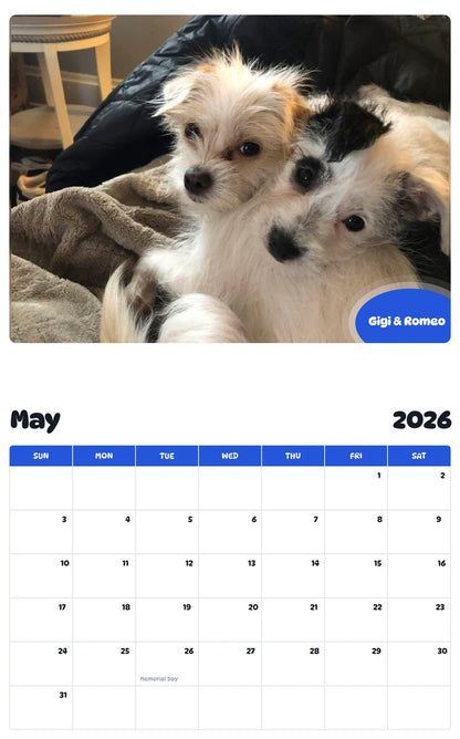 2026 - 2027 Gigi & Romeo - Pawidols Pet Calendar