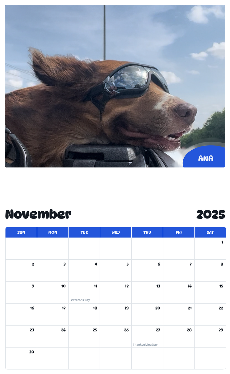 July 2025 - June 2026 Ana - Pawidols Pet Calendar