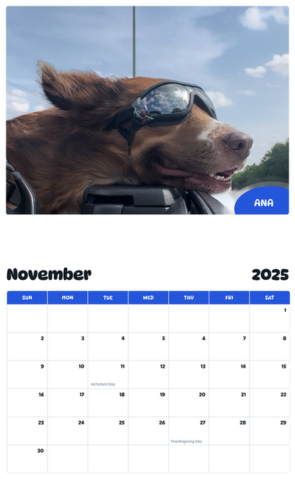 July 2025 - June 2026 Ana - Pawidols Pet Calendar