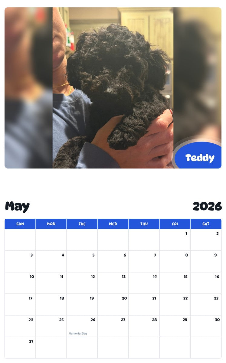 2026 - 2027 Teddy - Pawidols Pet Calendar