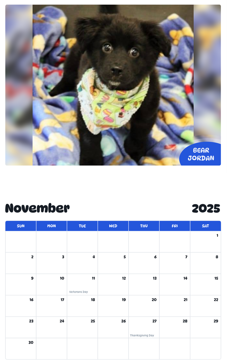 July 2025 - June 2026 Bear Jordan - Pawidols Pet Calendar