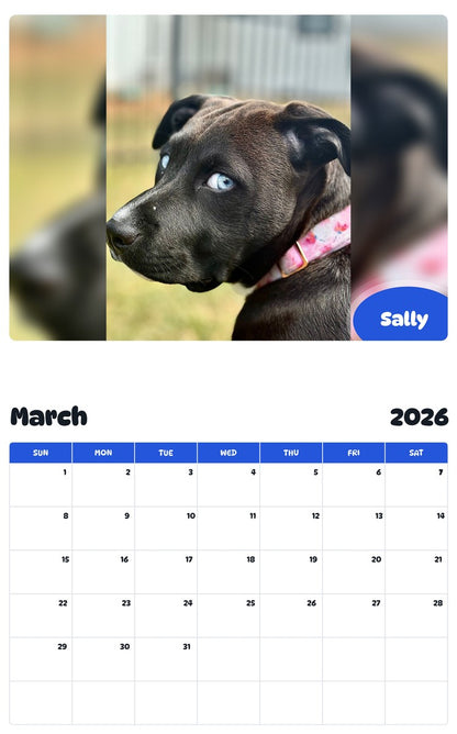 November 2025 - October 2026 Sally - Pawidols Pet Calendar