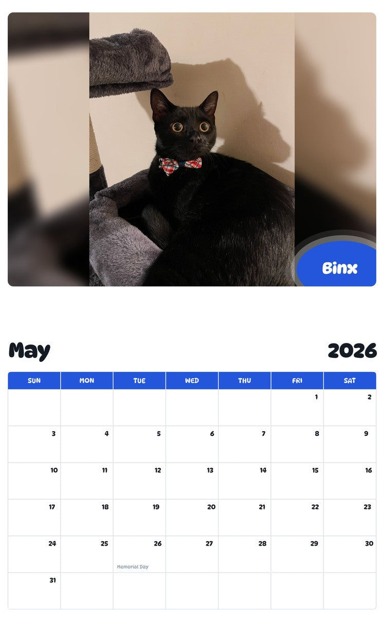 2026 - 2027 Binx - Pawidols Pet Calendar