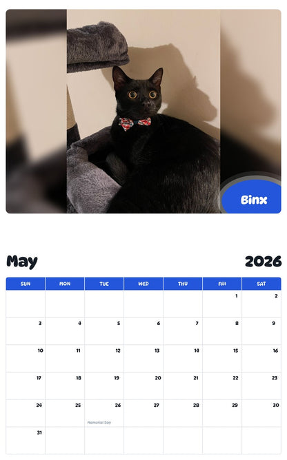 2026 - 2027 Binx - Pawidols Pet Calendar
