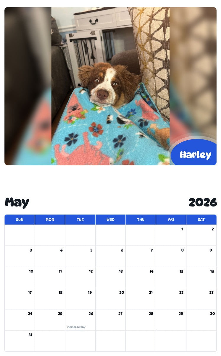 2026 - 2027 Harley - Pawidols Pet Calendar