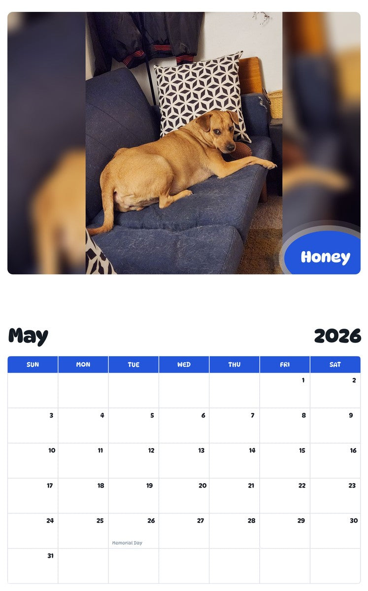 2026 - 2027 Honey - Pawidols Pet Calendar