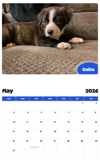 2026 - 2027 Callie - Pawidols Pet Calendar