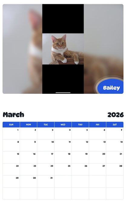 November 2025 - October 2026 Bailey - Pawidols Pet Calendar