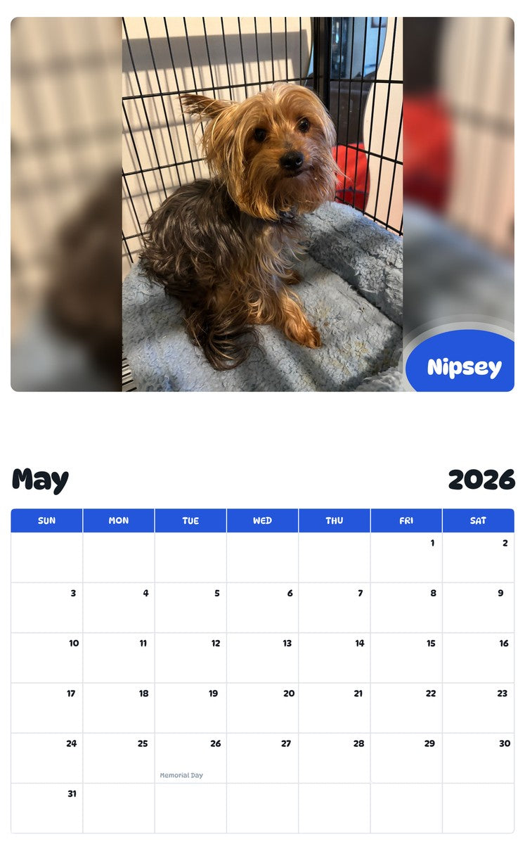2026 - 2027 Nipsey - Pawidols Pet Calendar