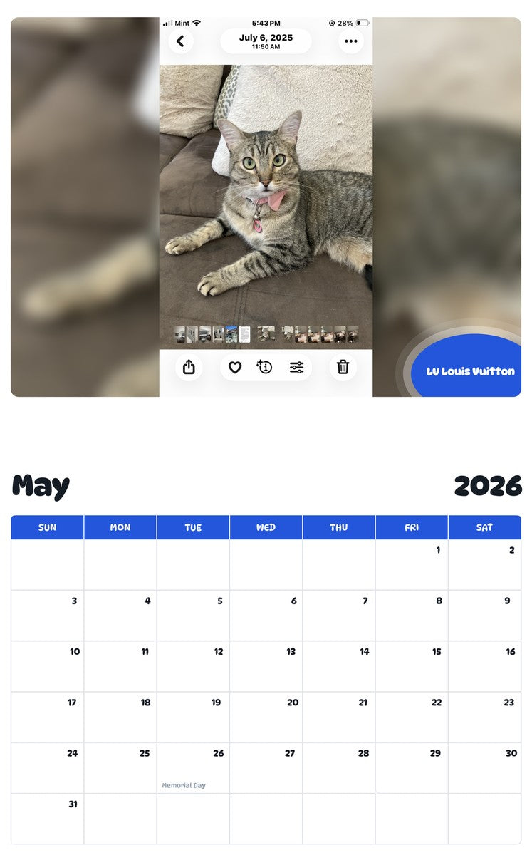 2026 - 2027 LV Louis Vuitton - Pawidols Pet Calendar