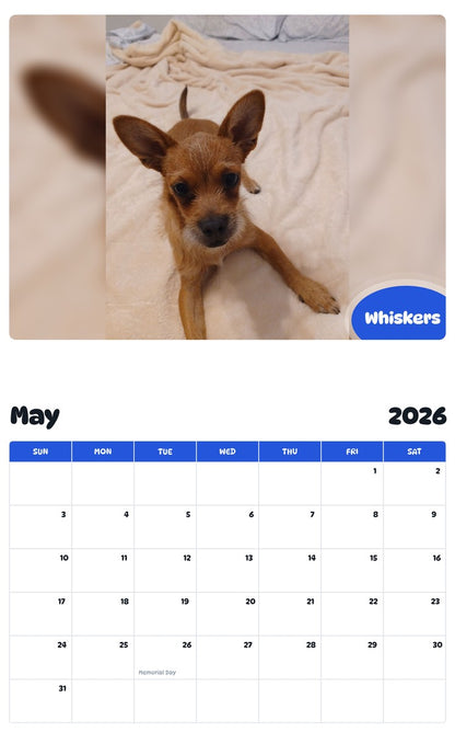 2026 - 2027 Whiskers - Pawidols Pet Calendar