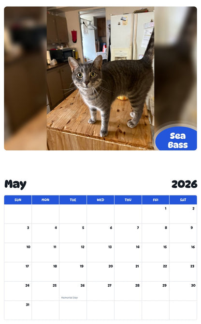2026 - 2027 Sea  Bass - Pawidols Pet Calendar