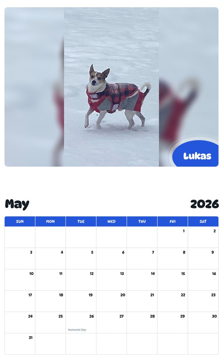 2026 - 2027 Lukas - Pawidols Pet Calendar
