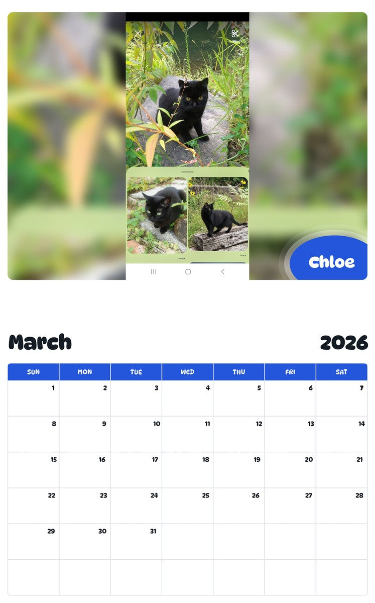 November 2025 - October 2026 Chloe - Pawidols Pet Calendar