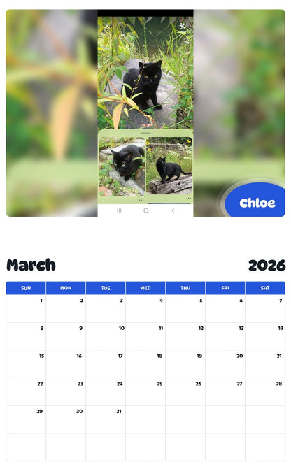 November 2025 - October 2026 Chloe - Pawidols Pet Calendar