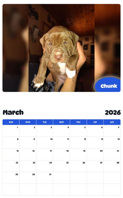 November 2025 - October 2026 Chunk - Pawidols Pet Calendar