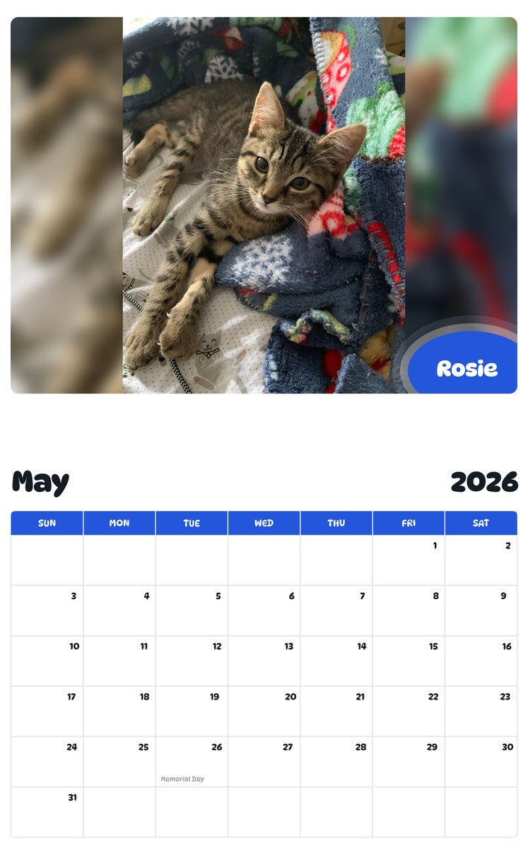 2026 - 2027 Rosie - Pawidols Pet Calendar