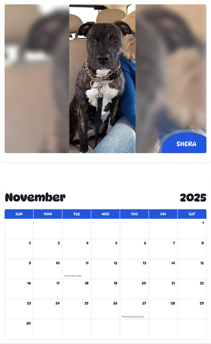 July 2025 - June 2026 Shera - Pawidols Pet Calendar