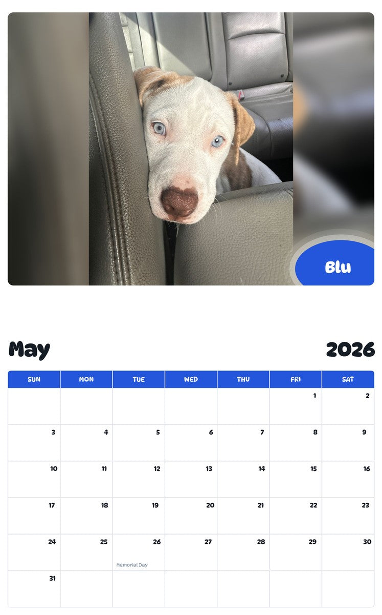 2026 - 2027 Blu - Pawidols Pet Calendar