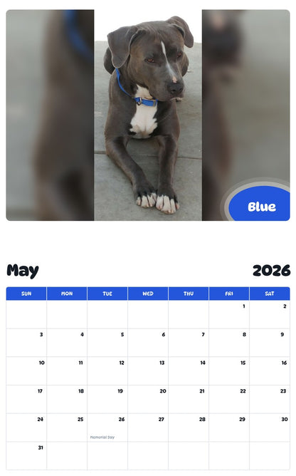 2026 - 2027 Blue - Pawidols Pet Calendar