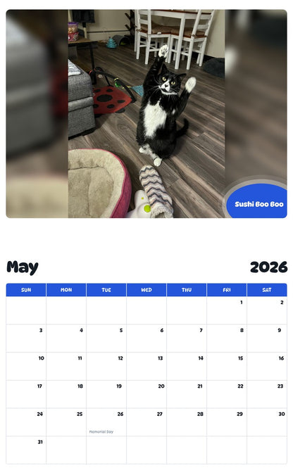 2026 - 2027 Sushi Boo Boo - Pawidols Pet Calendar