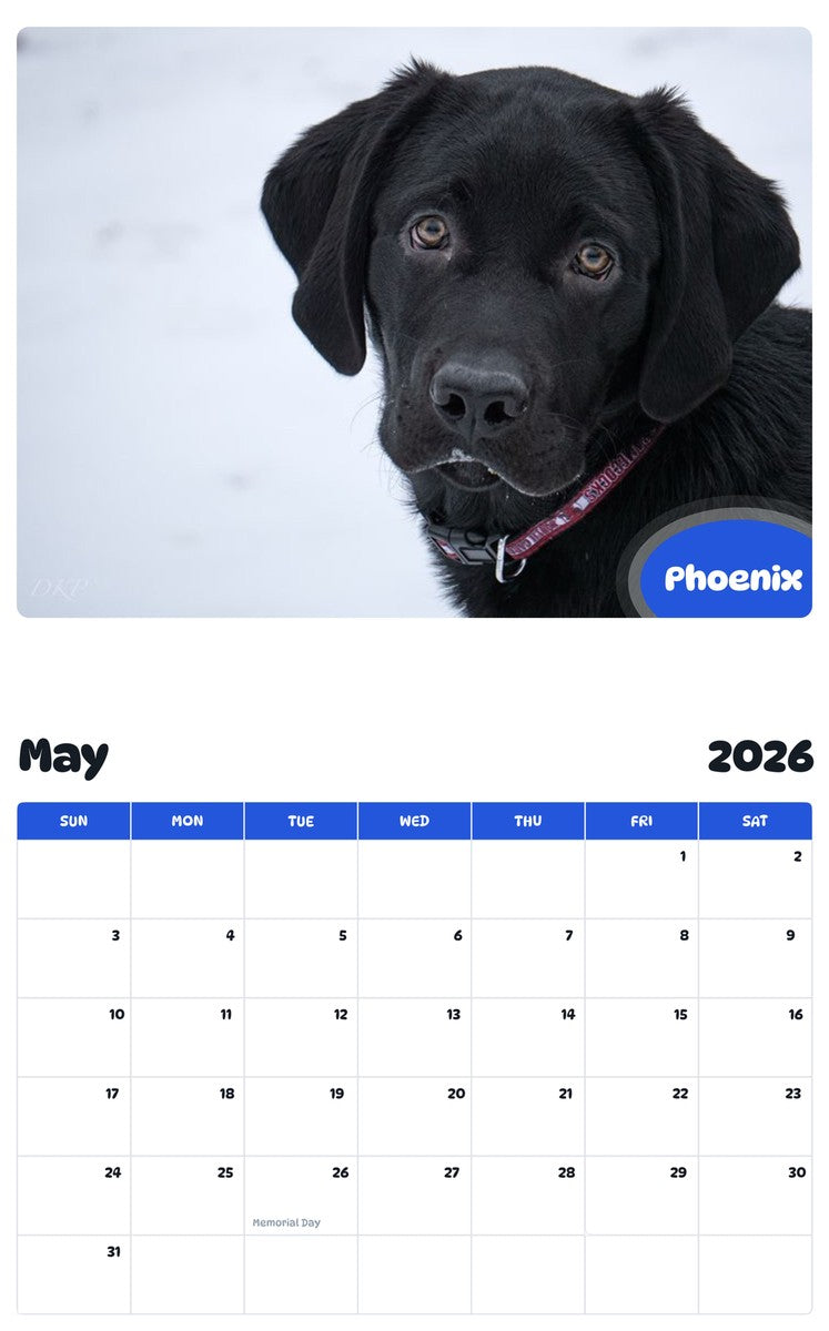 2026 - 2027 Phoenix - Pawidols Pet Calendar