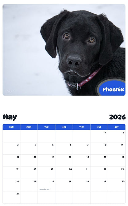 2026 - 2027 Phoenix - Pawidols Pet Calendar