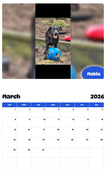 November 2025 - October 2026 Mable - Pawidols Pet Calendar