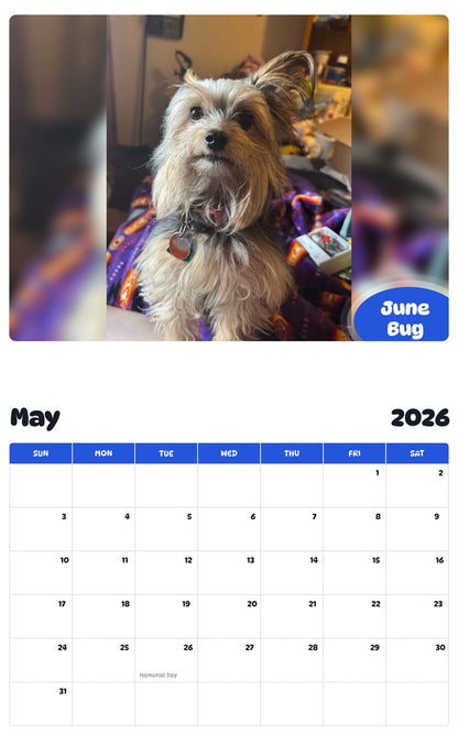 2026 - 2027 June Bug - Pawidols Pet Calendar