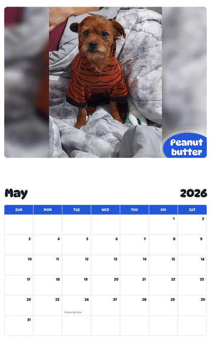2026 - 2027 Peanut butter - Pawidols Pet Calendar