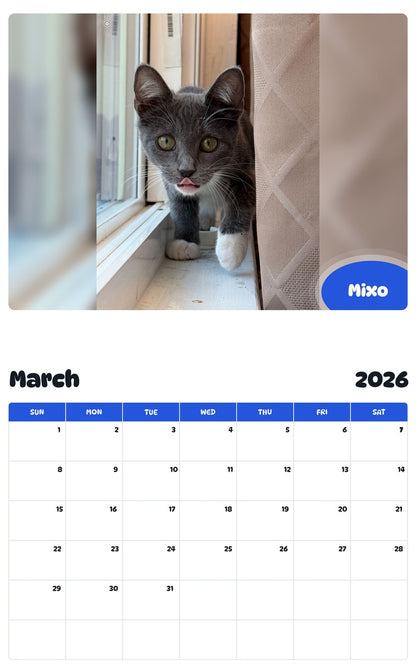 November 2025 - October 2026 Mixo - Pawidols Pet Calendar