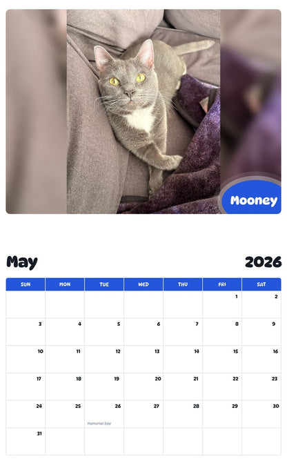 2026 - 2027 Mooney - Pawidols Pet Calendar