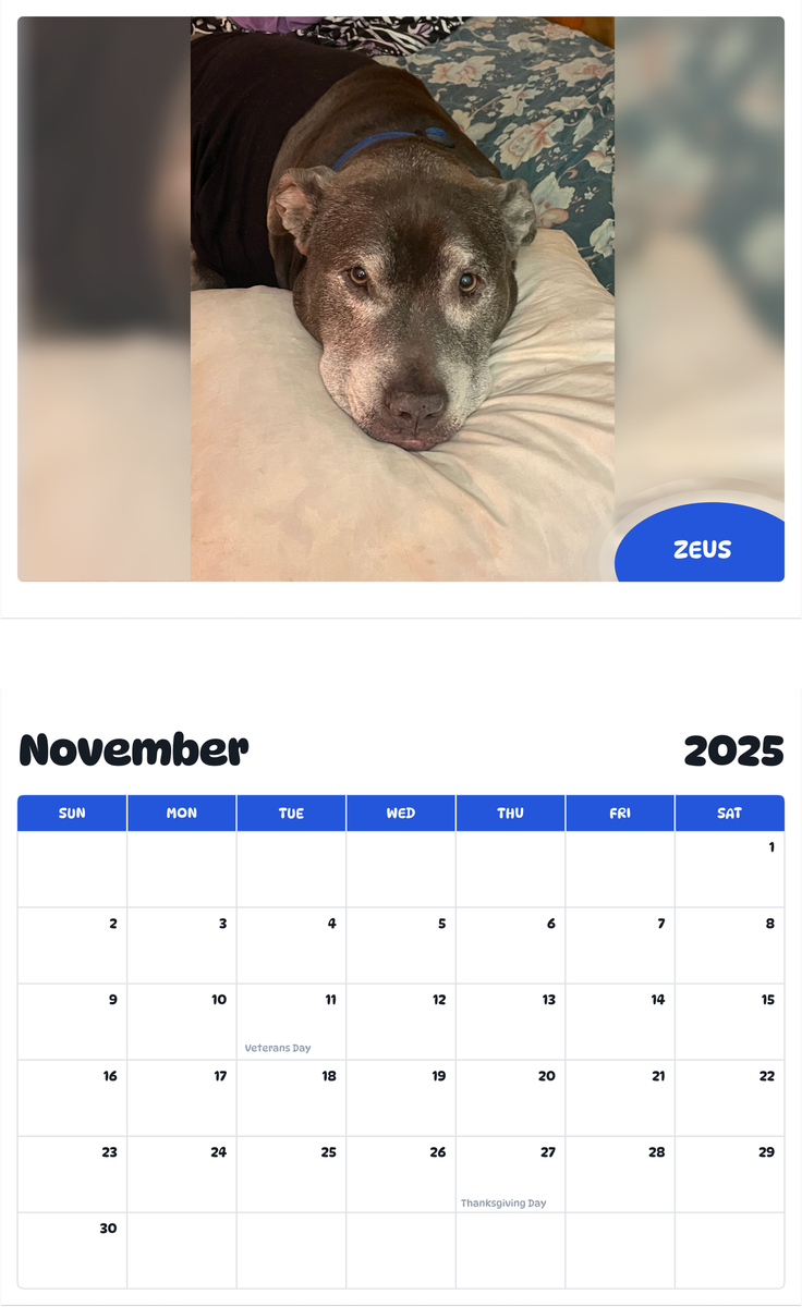 July 2025 - June 2026 Zeus - Pawidols Pet Calendar