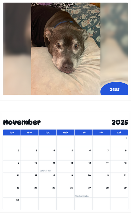 July 2025 - June 2026 Zeus - Pawidols Pet Calendar