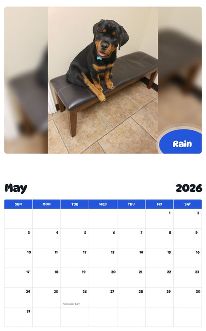 2026 - 2027 Rain - Pawidols Pet Calendar